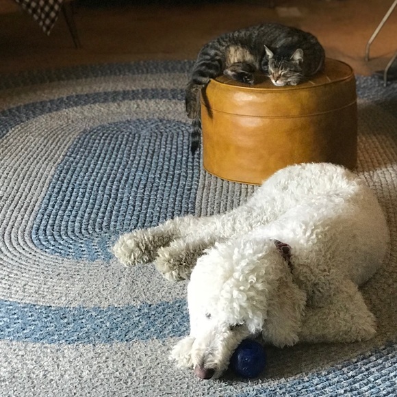 Meet your Posher, Kelly - Picture 2 of 2